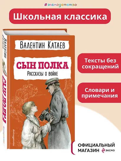 Сын полка. Рассказы о войне (ил. В. Канивца) - фото 4