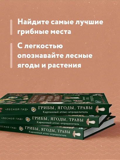 Лесной гид: грибы, ягоды, травы. Карманный атлас-определитель - фото 6