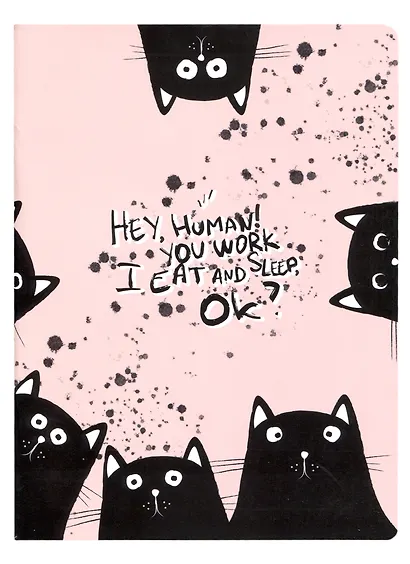 Тетрадь в клетку Be Smart, "Hey human. Коты", 48 листов - фото 1