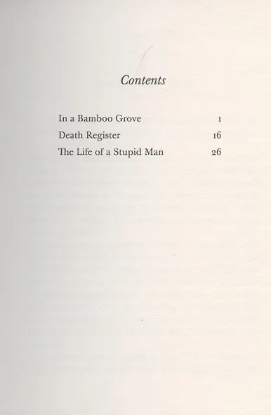 The Life of a Stupid Man - фото 2