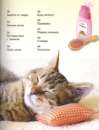 Кошки и котята. Детская энциклопедия - фото 3