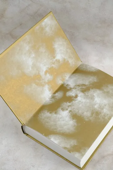 Янтарный телескоп - фото 8