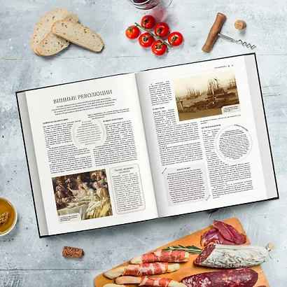 Ларусс. Вино. Энциклопедия - фото 4