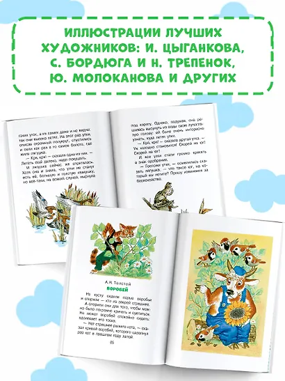 Лягушка-путешественница и другие сказки - фото 6