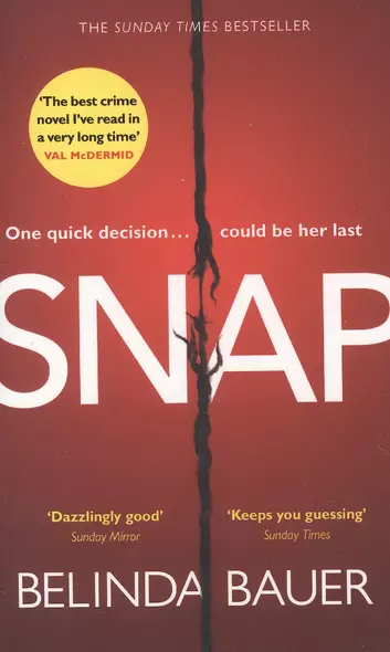 Snap. The Sunday Times Bestseller - фото 1