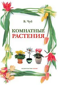 Комнатные растения - фото 2