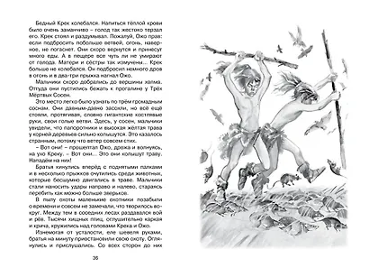 Приключения доисторического мальчика - фото 12