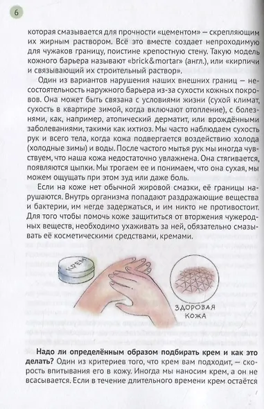 Иммунитет и наше здоровье. Почему мы иногда болеем, что помогает нам не заболевать и быстрее выздоравливать - фото 6