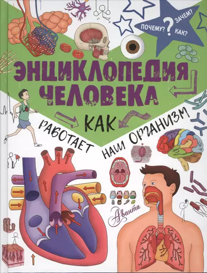 ПочемуЗачемКак? Энциклопедия человека: как работает наш организм - фото 1