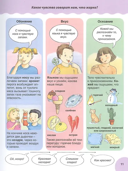 Все обо всем. Первая энциклопедия малыша - фото 5