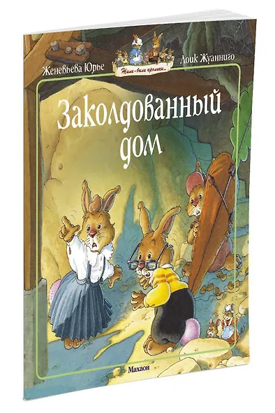 Заколдованный дом - фото 2