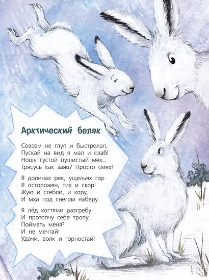 Посмотри, где мы живем! - фото 4