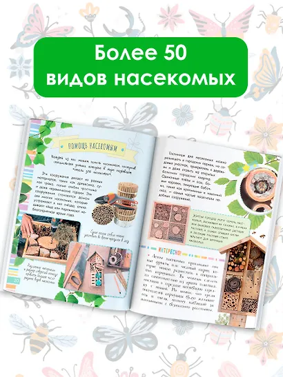 Удивительные насекомые - фото 5