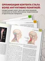 Анатомические поезда - фото 9