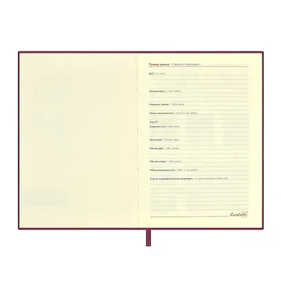 Ежедневник недат. А6+ 126*174 160л "Кассандра" бордовый, кожзам, мягкий переплет, блинт.тисн, тонир.блок, ляссе - фото 6