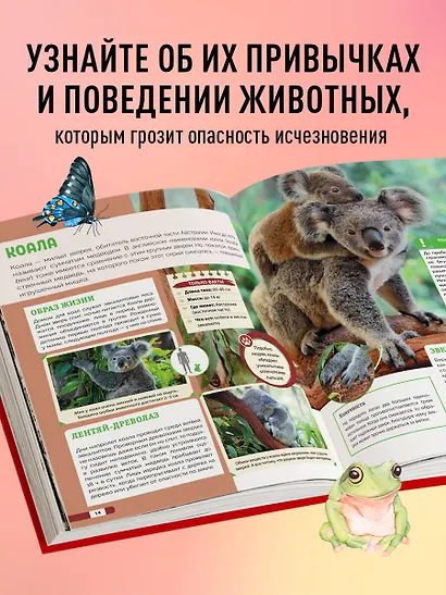 Красная книга мира: млекопитающие, птицы, рептилии, амфибии, рыбы - фото 5