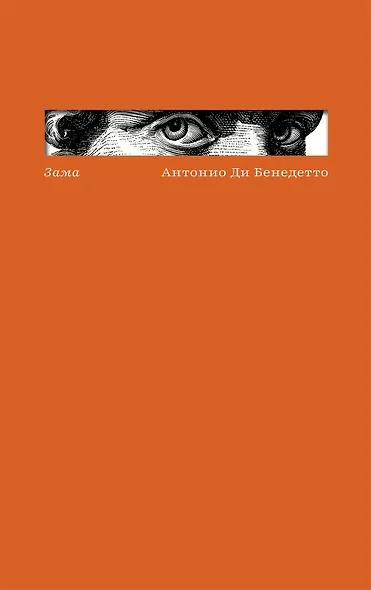 Зама - фото 1