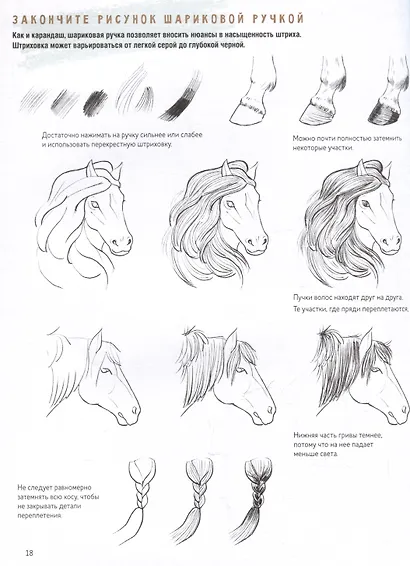 Создаем наброски лошадей шаг за шагом. 50 проектов с подробными объяснениями и рисунками (зеленая обложка) - фото 4