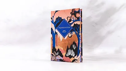 Frankenstein (Mary Shelley) Франкенштейн (Мэри Шелли) /Книги на английском языке - фото 3
