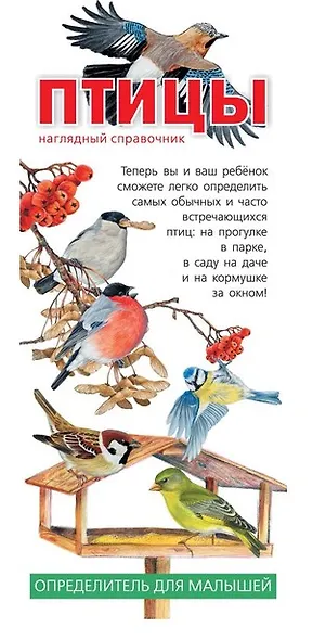 Птицы. Наглядный справочник - фото 1