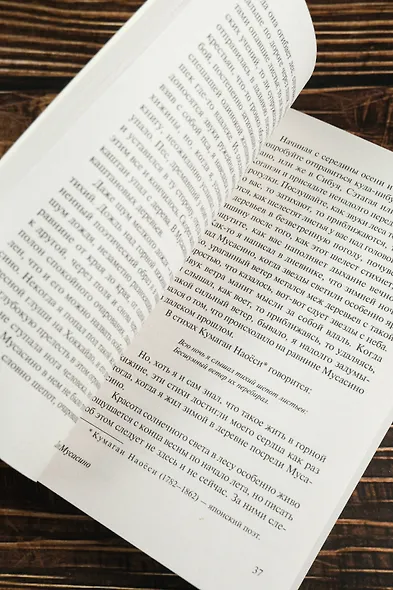 Туман над рекой - фото 8