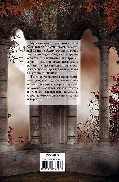 Ирландский воин: роман - фото 2
