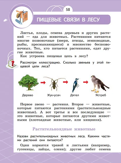 Естествознание. Азбука экологии. 2 класс. Учебник - фото 4