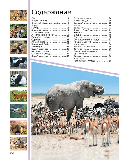 Животные - фото 3