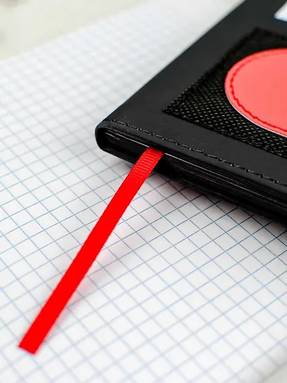 Дневник шк. "Режим босса" кожзам, тв.переплёт, аппликация, шелкография в одну краску, блинт.тиснение, пантон, одно ляссе, загругл.углы, универс.шпаргалка - фото 5