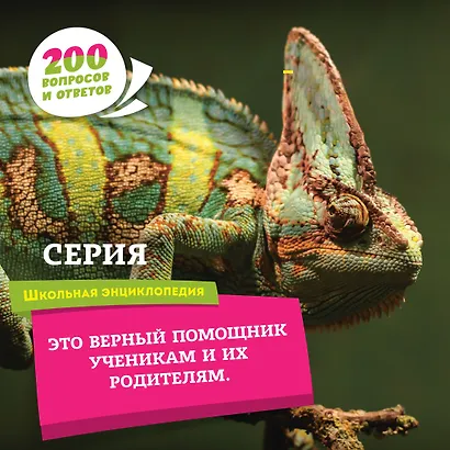 Города и страны мира - фото 5