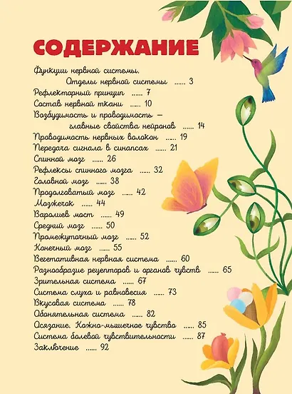 Мозг и нервная система - фото 7