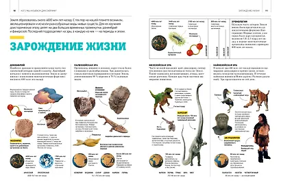 Гигантская энциклопедия динозавров - фото 11