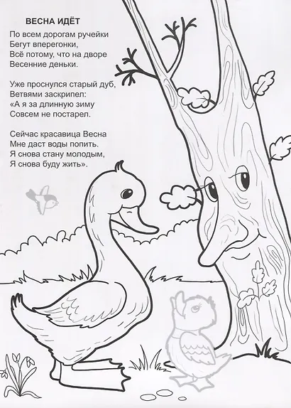 Весна - красавица - фото 2