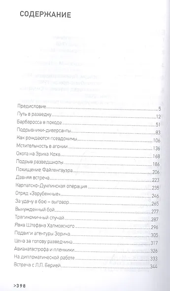 Щит и меч майора Зорича - фото 2