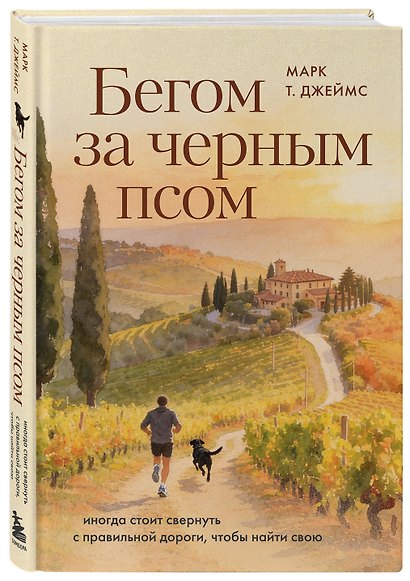 Бегом за черным псом. Иногда стоит свернуть с правильной дороги, чтобы найти свою - фото 3