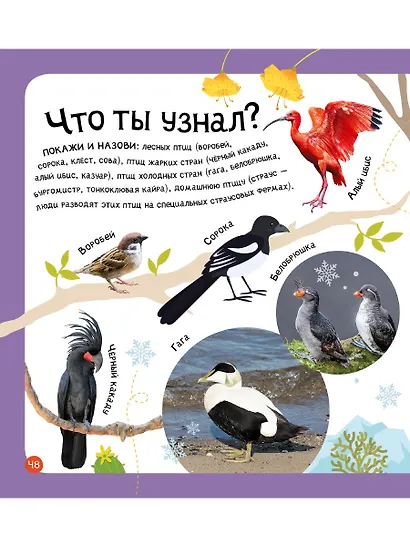 Мои первые 300 слов. Животные, рыбы, птицы, растения - фото 6