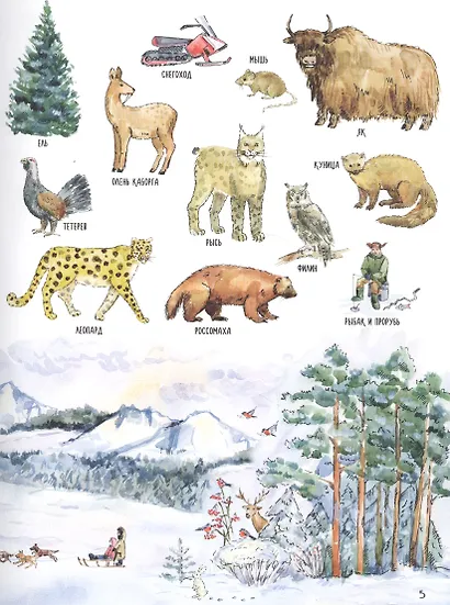 Первая книга о природе и животных - фото 5