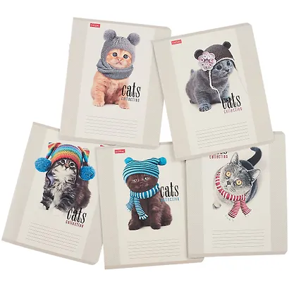 Тетрадь в клетку Hatber, "Кототерапия", 12 листов, в ассортименте - фото 7