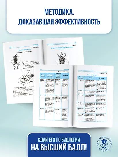 ЕГЭ. Биология в инфографике - фото 7