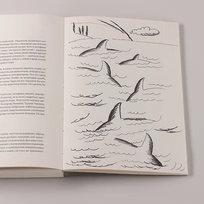 100 слов не только про Артек: Заметки директора, педагога, человека - фото 11