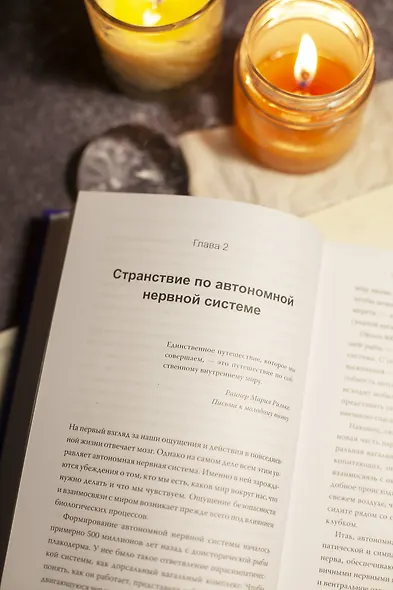 Тело на твоей стороне. Как сделать нервную систему своим союзником в достижении спокойствия - фото 5