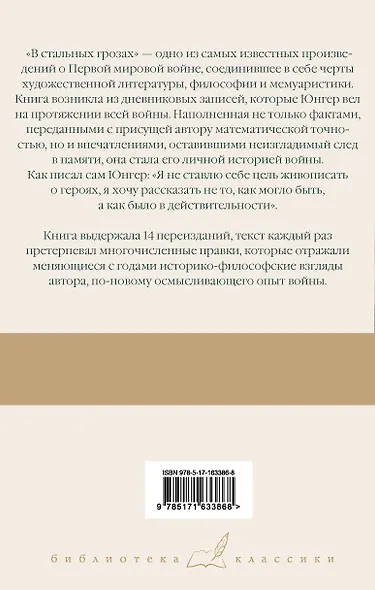 В стальных грозах - фото 2