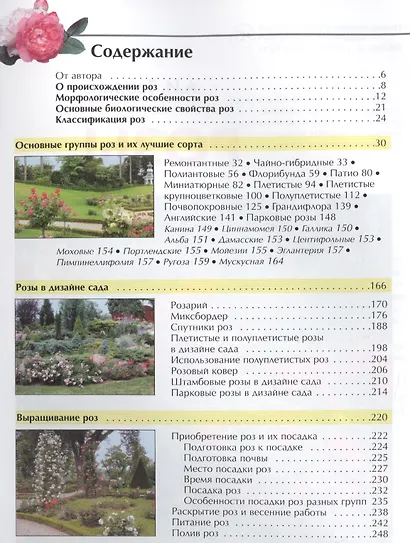 Розы - фото 3