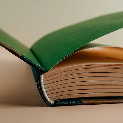 Собаки и другие люди - фото 11