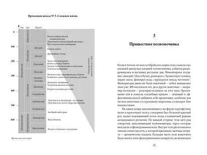 Очень краткая история жизни на Земле. 4,6 миллиарда лет в 12 лаконичных главах - фото 6