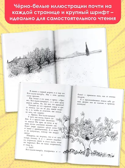 Гурти в отрыве! - фото 4