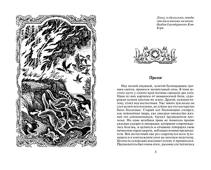 Бушующая стихия - фото 2