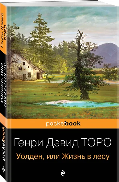 Уолден, или Жизнь в лесу - фото 4