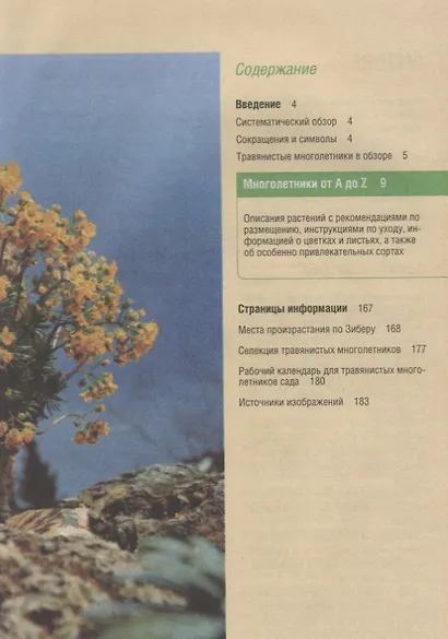 Красивые клумбы. Иллюстрированный справочник цветов, кустарников и растений - фото 2