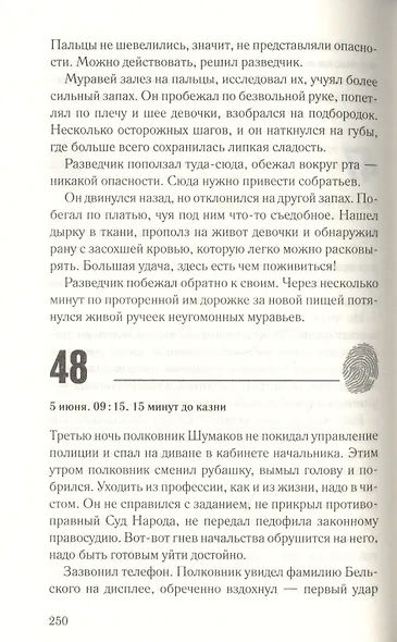 Казнь в прямом эфире - фото 4